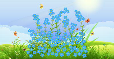 St Ann's Hospice Forget Me Not Spring Meadow 2023 share image
