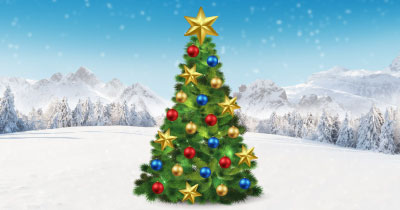 2021 FREG Mobile Xmas Tree bookings share image