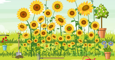 Roundabout's In Memory Sunflower Garden share image