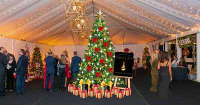The Tenth Annual Festival of Trees share image