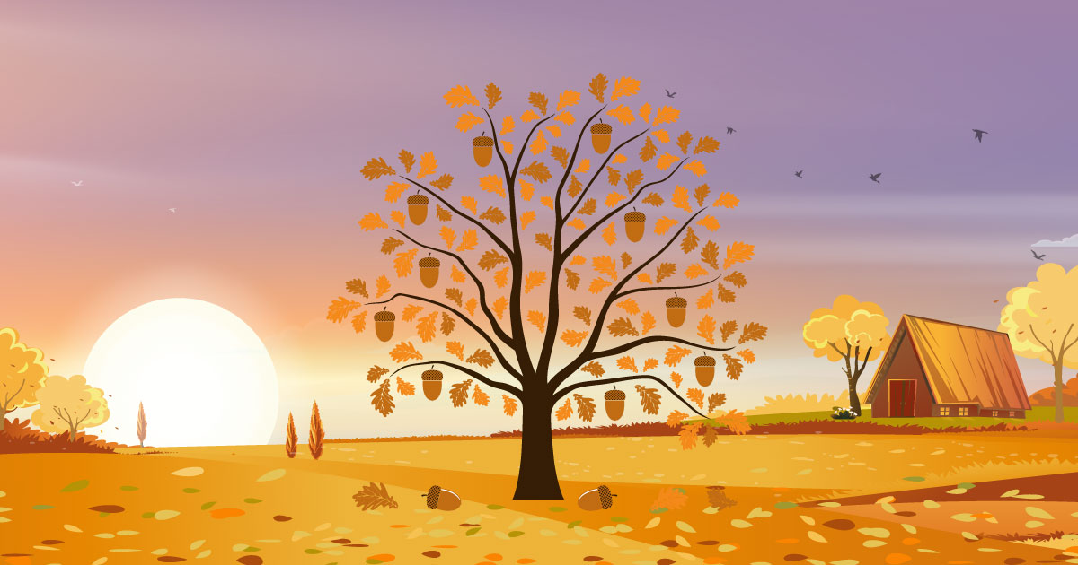 An oak tree with large oversized acorns hanging from the branches. The sun is setting in the background.