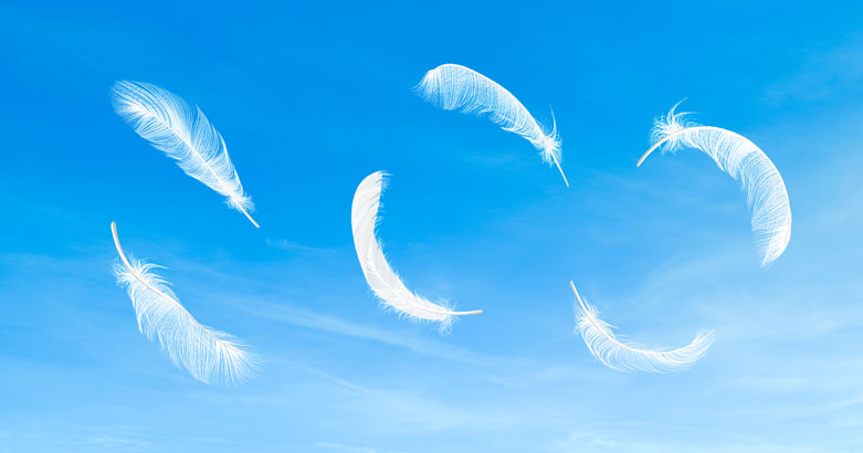 A clear blue sky with floating white feathers