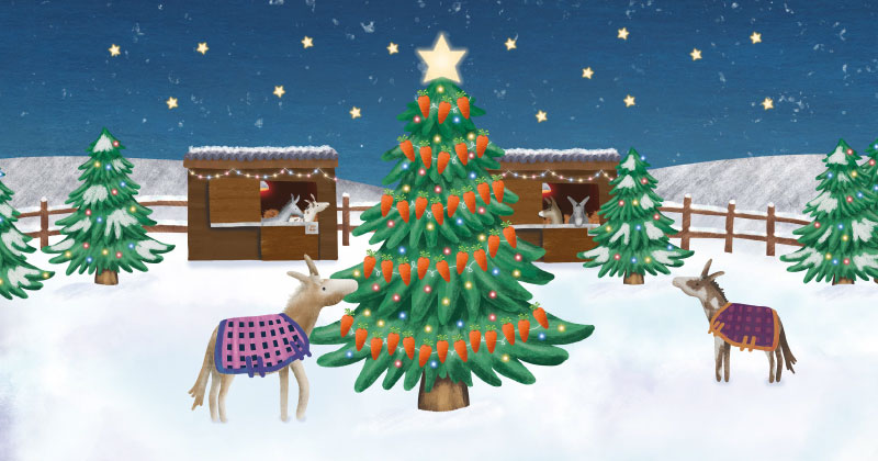 The Donkey Sanctuary Christmas Carrot Appeal 2026 share image